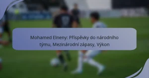 Mohamed Elneny: Příspěvky do národního týmu, Mezinárodní zápasy, Výkon